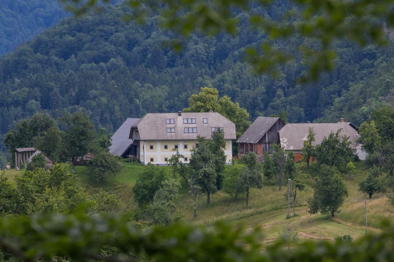 Apartment Krnicar