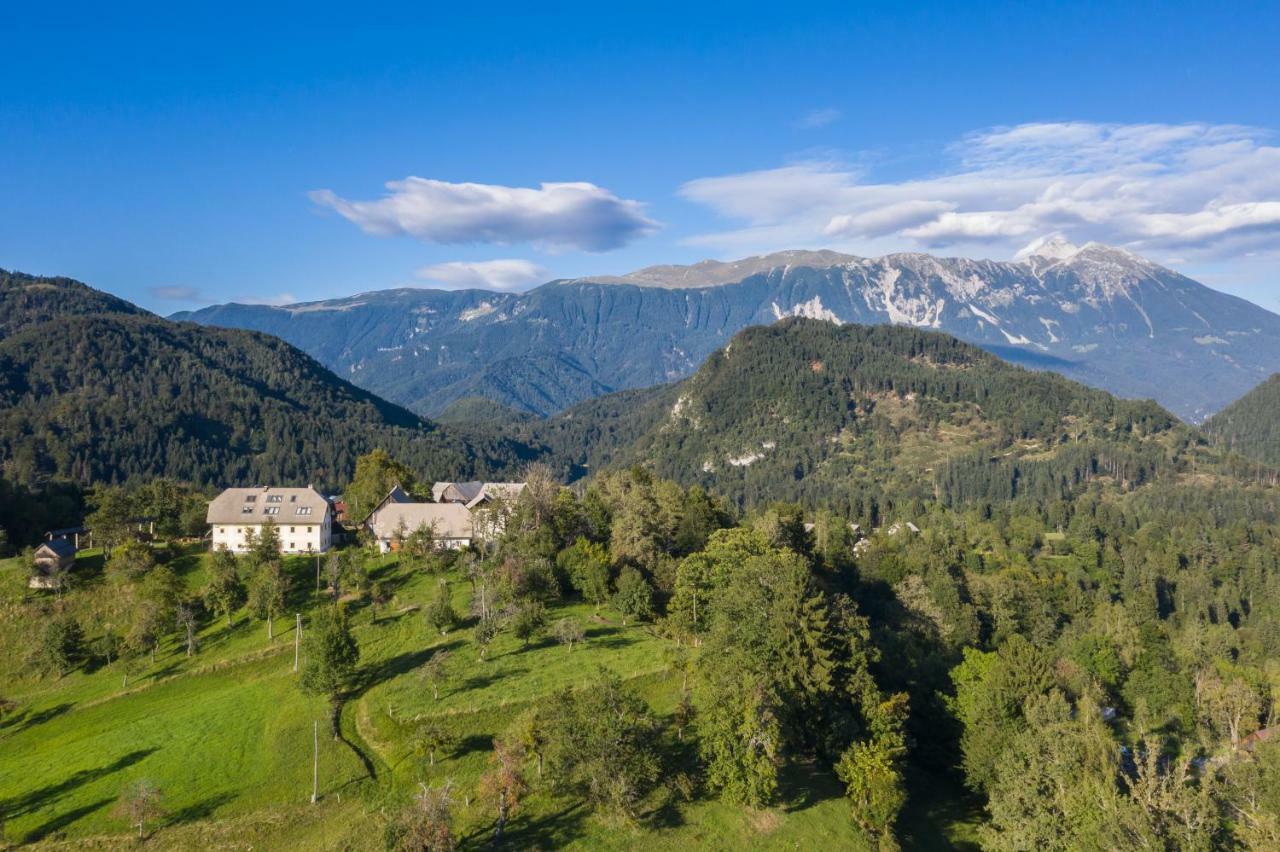 Krnicar Apartment Zgornje Gorje